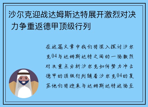 沙尔克迎战达姆斯达特展开激烈对决 力争重返德甲顶级行列